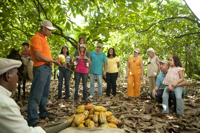 Dominican Republic: 3-Hour Chocolate Lovers Tour