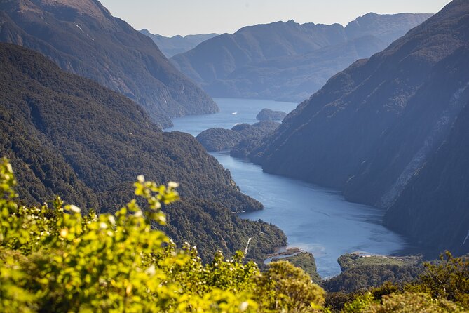 Doubtful Sound Wilderness Cruise From Queenstown