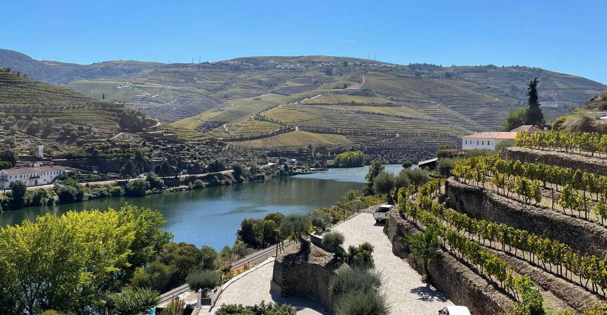 DOURO: DOURO VINEYARD TOUR IN A SEDAN