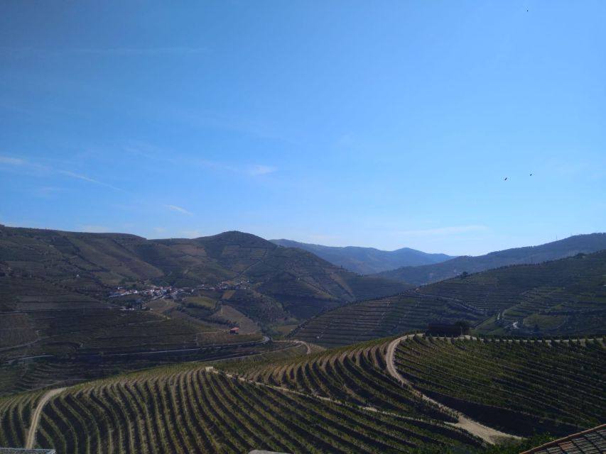 Douro Valley & Amarante – From Porto or Guimarães