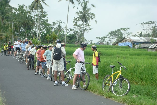 Downhill Bali Countryside Cycling Tour – With Halo Bike Tour