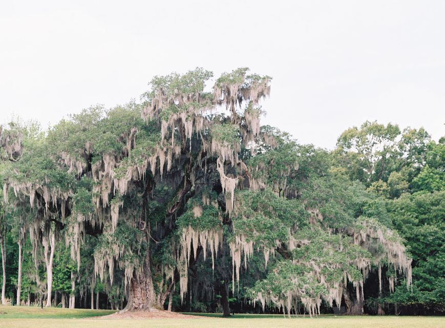 Drayton Hall: Interpreter Guided Tour, Charleston, SC