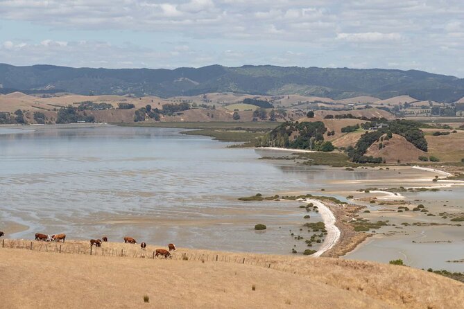 Duder Regional Park Half-Day Walking Tour