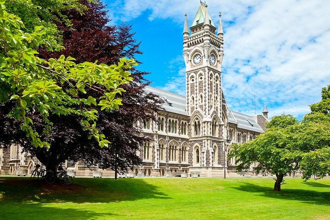 Dunedin City and Coastal Views 3-Hour Small-Group Guided Tour