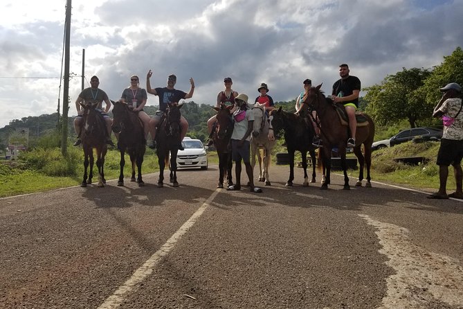 Dunns River Falls, River Tubing, and Horseback Riding With Transportation