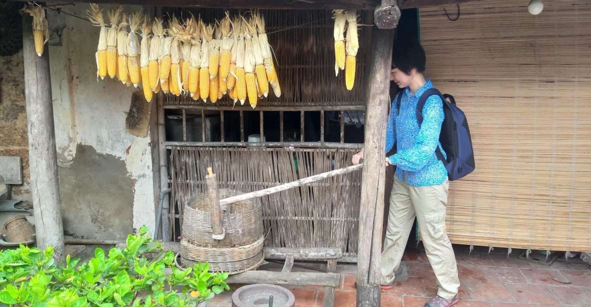 Duong Lam Ancient Village - Overview of the Tour