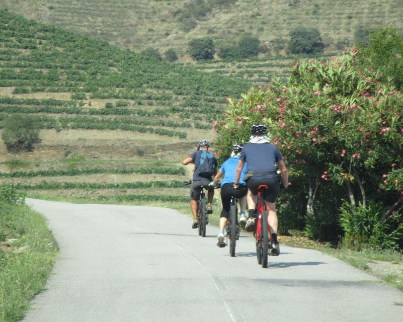 E-MTB – Vineyards Douro Tour