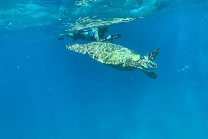 E-Scooter Snorkel With Photo and Video At Turtle Town