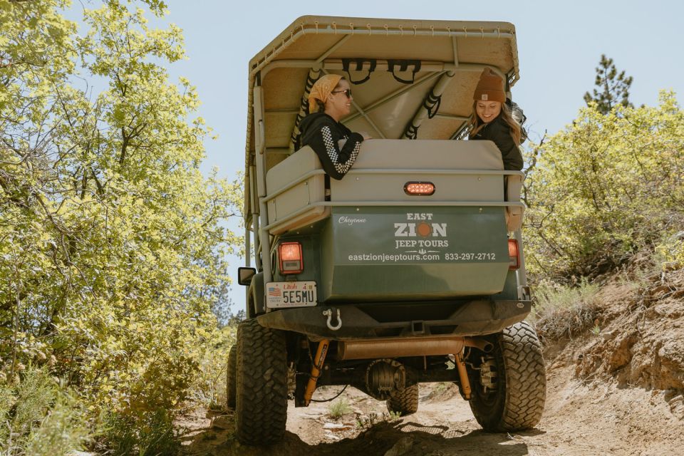 East Zion: 1-Hour East Rim Jeep Tour