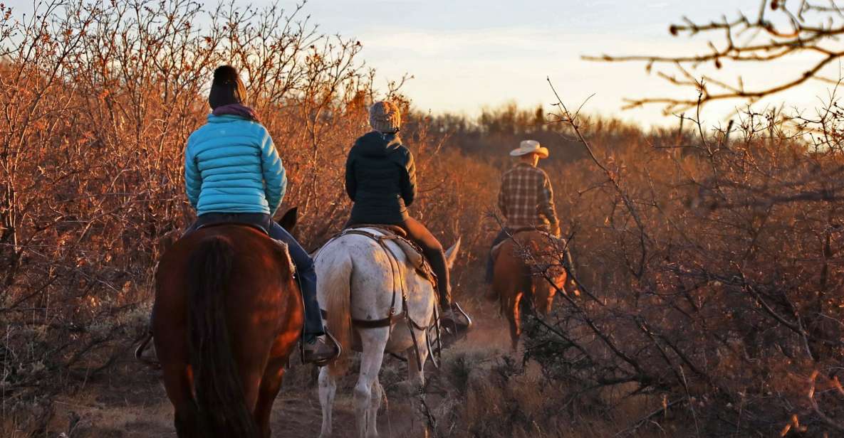 East Zion: Pine Knoll Horseback Tour