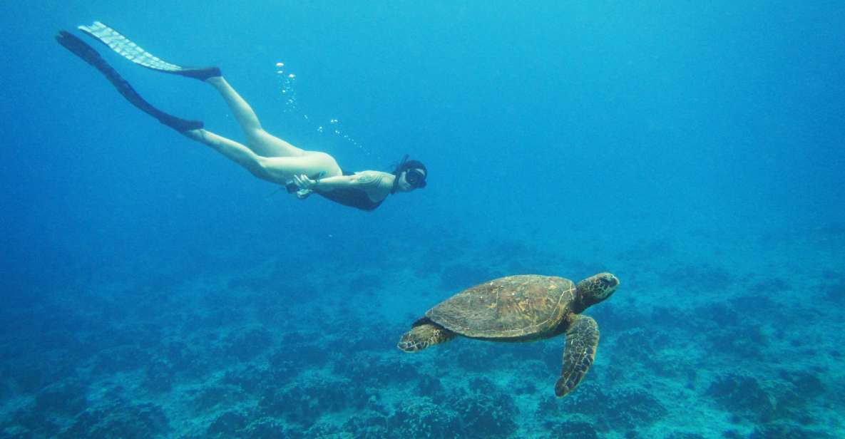 Easter Island: Snorqueling Tour on Coral Reefs