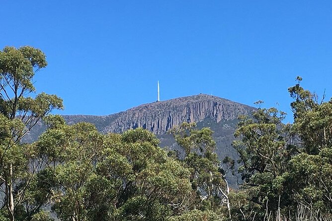 Easy Bike Tour - Mt Wellington Summit Descent & Rainforest Ride - Tour Overview