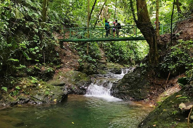 Ebano Waterfalls and Rainforest Safari Tour