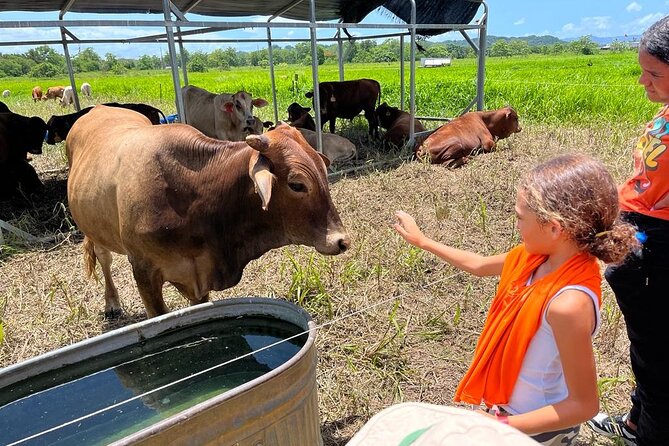 Eco Friendly Farming Tour to Explore Dorados Most Beautiful Farm - Tour Overview and Details