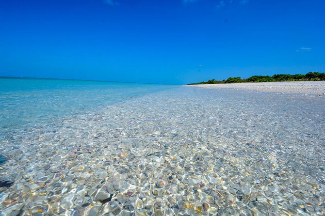 Eco Shelling Cruise to Keewaydin Island