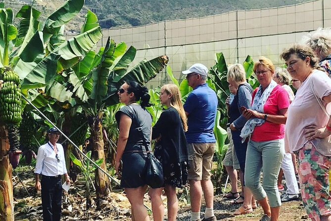 Ecological Banana Plantation Tour