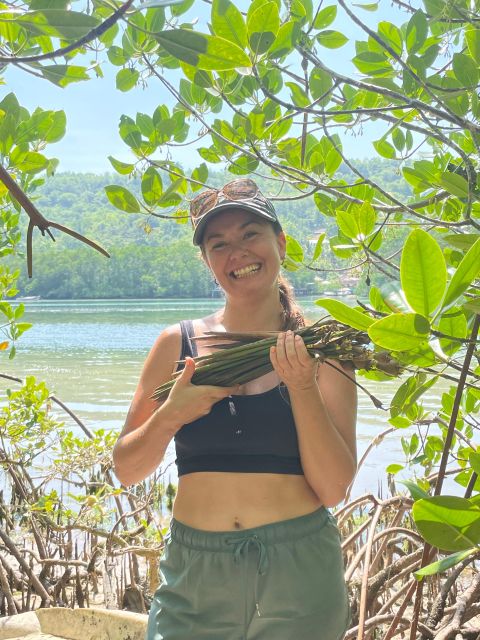 Ecotourism: Mangrove Reforestation & Tour