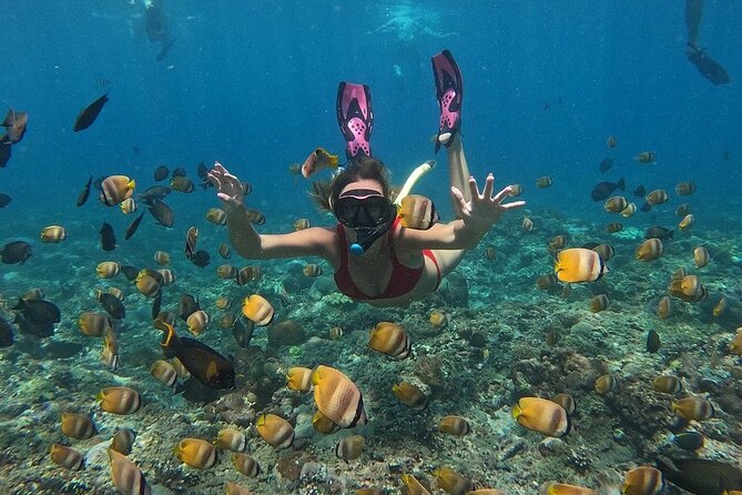 ️Nusa Penida by Private Boat - Snorkeling 4 Spots, Swim With Mantas + Land Tour - Overview of the Experience