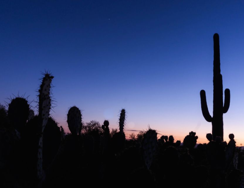 El Paso: Sun City Ghost Walking Tour