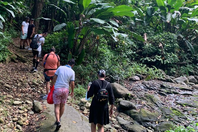 El Yunque National Forest and Luquillo Beach Combo