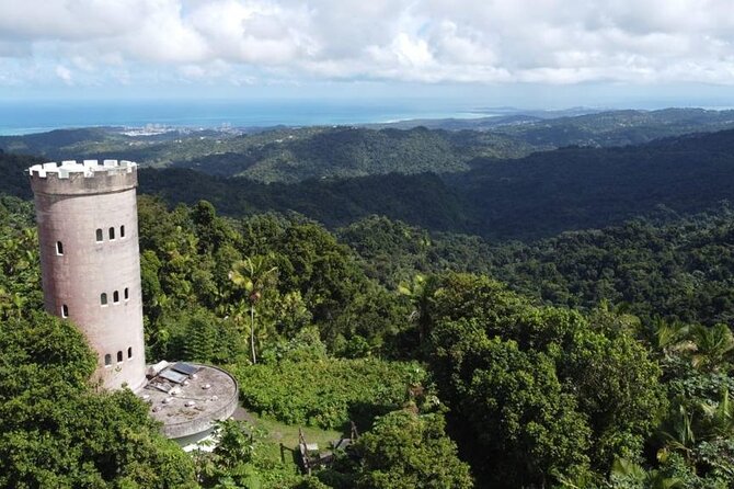 El Yunque Rainforest Hike With Transport From San Juan