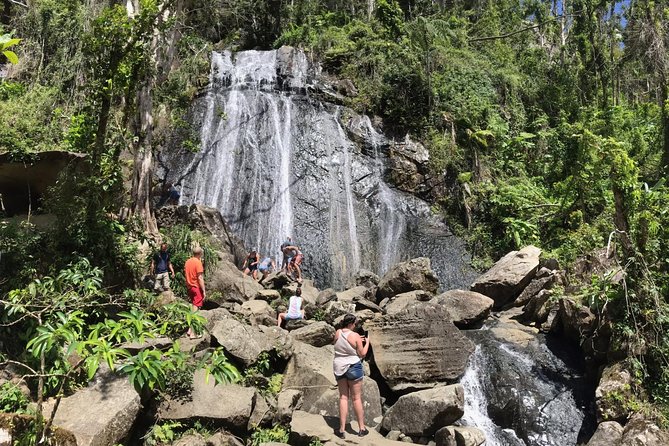 El Yunque Rainforest Hiking Tour From San Juan