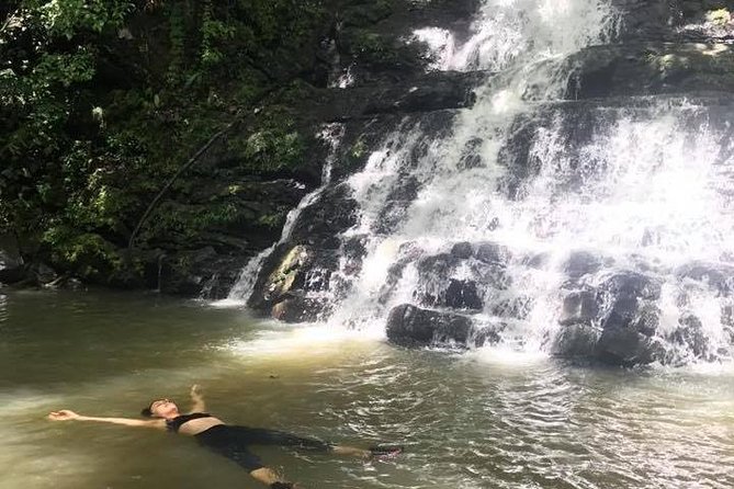 El Yunque Rainforest Tour From Fajardo