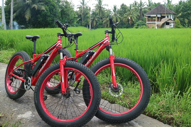 Electric Bike Tour in Ubud