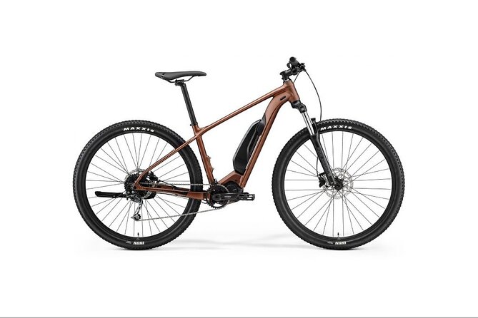 Electric Mountain Bike Hire on Queenstown Trail - Electric Bike Overview