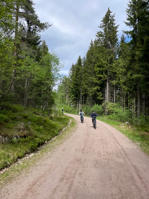 Electric Mountain Bike Tour in the Forest of Oslo