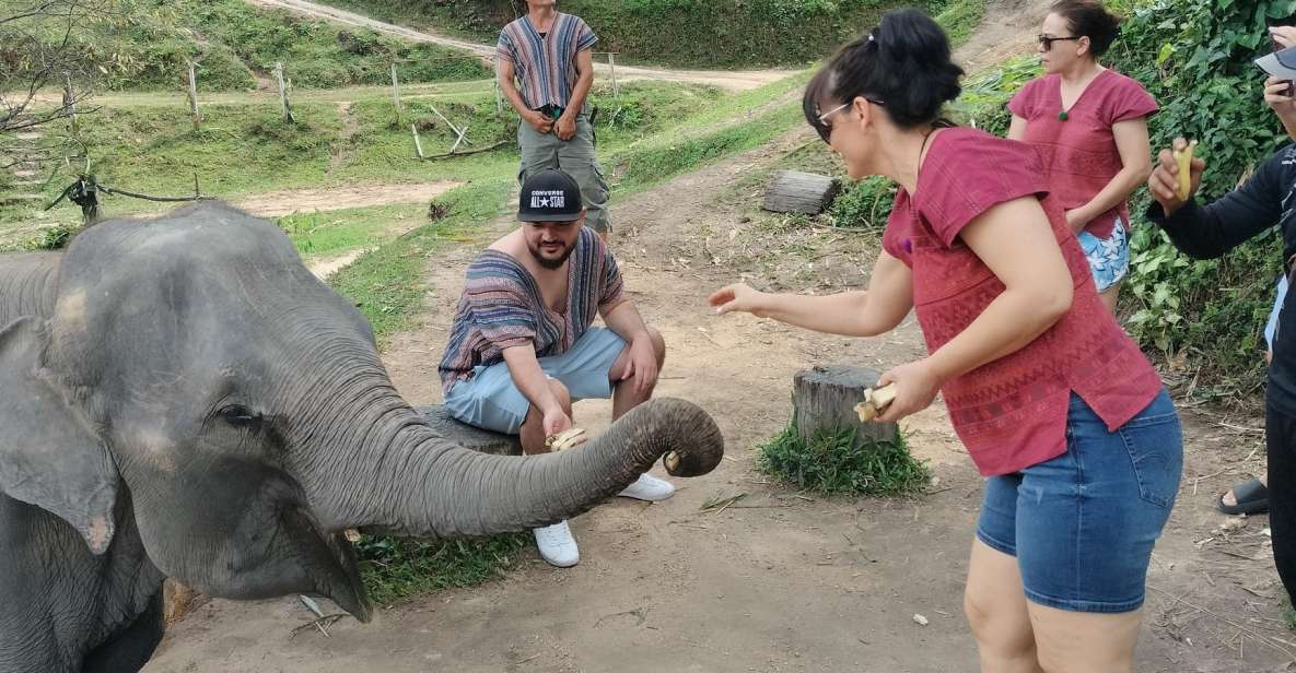 Elephant Care and Grand Canyon Jumping