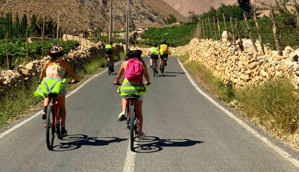 Elqui Valley: Bike Tour