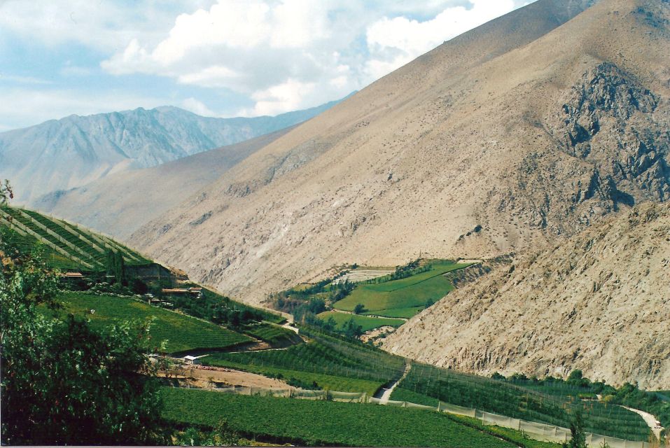 Elqui Valley Tour From La Serena