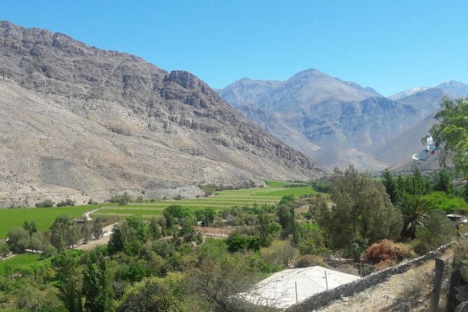 Elqui Valley Tour: Full Day History and Flavors