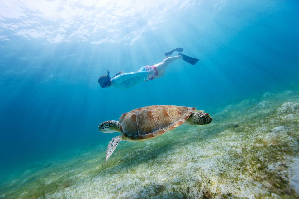 Emerald Coast: Afternoon Snorkel & Dolphin Tour