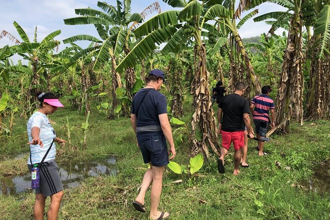 Erawan Waterfall and Elephant Care Private Tour