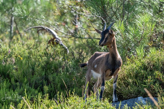 Ermelo Fissures Trail - Trail Experience and Inclusions