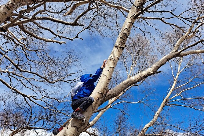 Etna Family Tour Excursion for Families With Children on Etna - Tour Overview