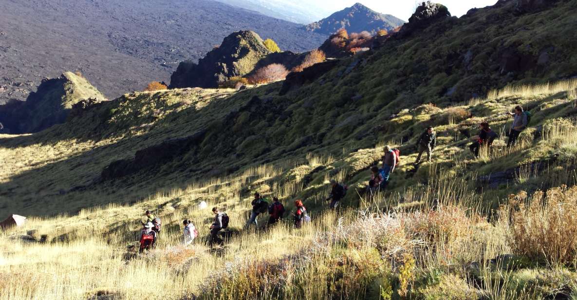 ETNA TREKKING TOUR MORNING SCHIENA DELL'ASINO - Itinerary Highlights