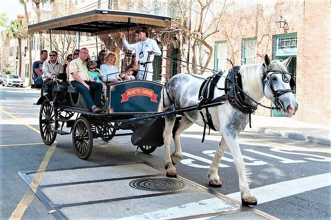 Evening Horse-Drawn Carriage Tour of Downtown Charleston - Overview of the Tour