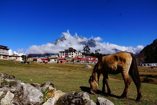 Everest Base Camp Trek