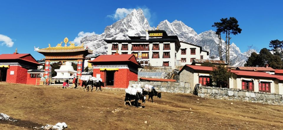 Everest Helicopter Tour - Overview of the Tour