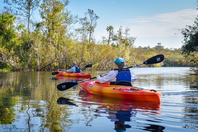 Everglades Guided Kayak Tour