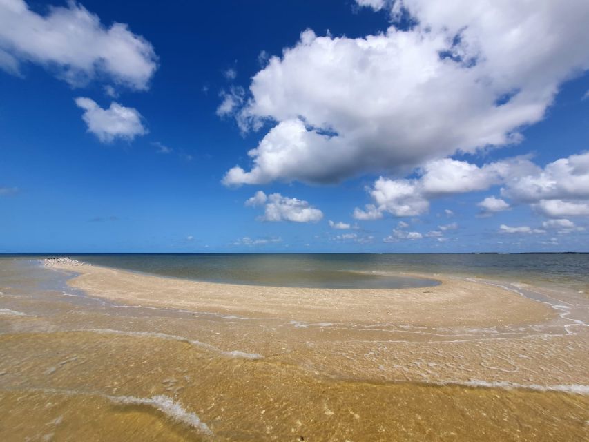 Everglades National Park: Motorboat Eco Tour