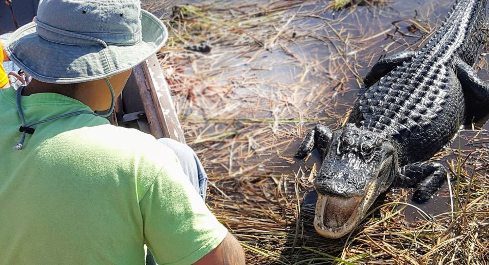 Everglades: Sawgrass Park Airboat Adventure Package - Overview of the Package