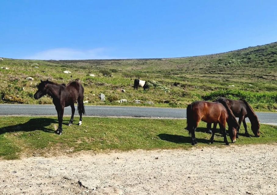 Exclusive Full Day Guided Tour – Lizard and West Cornwall