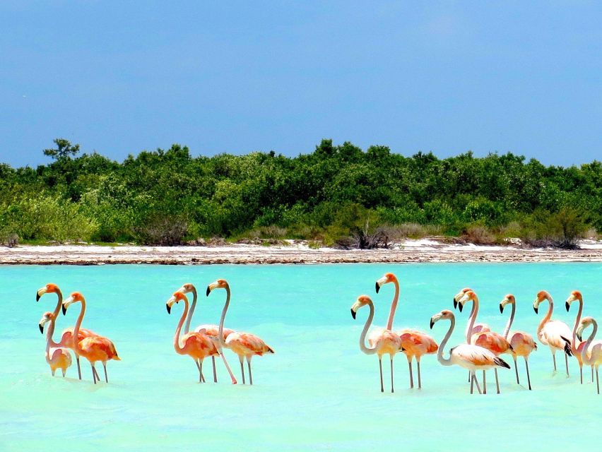 Exclusive Holbox: Yalahau, Punta Mosquito and Isla Passion