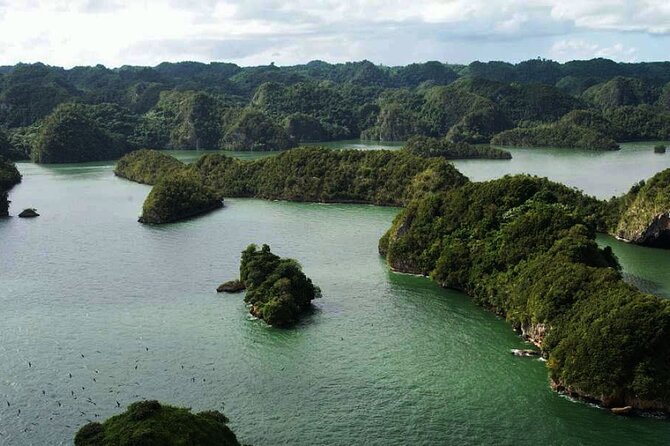 Excursion to Los Haitises + Cayo Levantado (Bacardi Island) From Santo Domingo