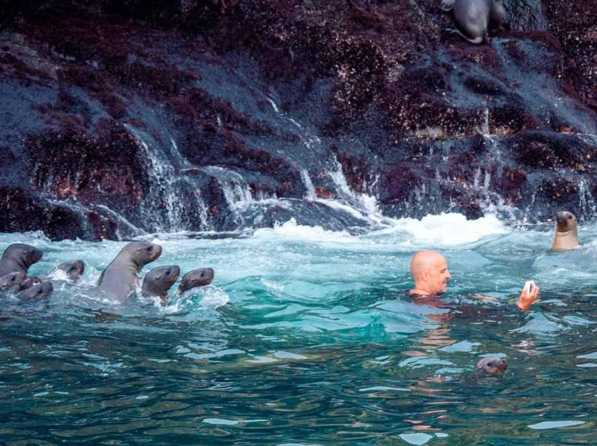 Excursion to Palomino Island | Entrance, Sea Lions |