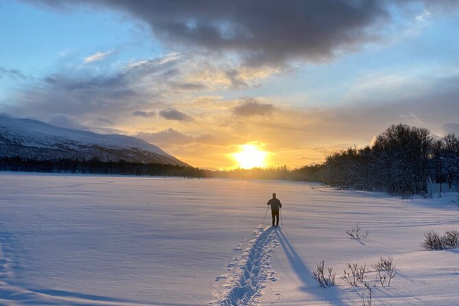 Experience Cross-Country Adventure in Tromsø